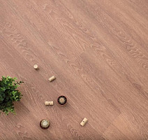 Кварцвиниловые полы Ecoclick Wood  замковый 4.2мм NOX-1614 Дуб Арагон фото 1 | FLOORDEALER